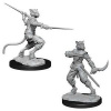 D&D Nolzur's Marvelous Miniatures - Male Tabaxi Rogue