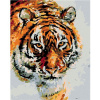 Zuty Diamantové maľovanie TIGER V SNEHU 40x50 cm vypnuté plátno na rám