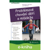 E-kniha Problémové chování dětí a mládeže - Stanislav Navrátil, Jan Mattioli