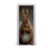 Samolepiace fototapety na dvere Veverka 75x205