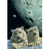 Grafika Schimmel Lair of the Snow Leopard II 1500 dielov