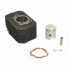 ATHENA Sady valca ATHENA 061300 Veľké vŕtanie d 43 mm, 63 cc, Cast Iron