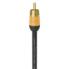 KORDZ PRO3 Single RCA Cable, 1,0 m Black