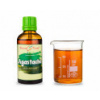 Agastache - bylinné kapky (tinktura) 50 ml - doplněk stravy