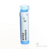 ARNICA MONTANA GRA HOM CH9 1x4 g Laboratoires BOIRON