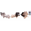 AGR - Ventil DRI 717730086