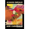 Now I Surrender (Alvaro Enrigue)
