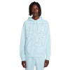 Nike Sportswear Club Fleece M BV2654-474
