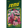 Semo Žiarivka veľkokvetý - zmes Monarch 0,3g