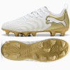 Puma FUTURE 9 Play Jr FG/AG 108723-04 38