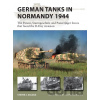 German Tanks in Normandy 1944 - Steven Zaloga, Rodríguez, Felipe (Ilustrátor)