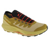 Shoes Salomon Pulsar Trail-Pro M 415936 (123361) Black 48