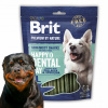Brit Premium Dog by Nature Dental Snacks L 250 g