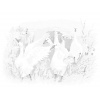 ZUTY Bodkovanie - HUSY NA FARME Rámovanie: vypnuté plátno na rám, Rozmer: 40x50 cm