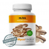 Mycomedica Hluba extrakt 30% Vegan 90 kapsúl