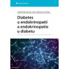 Diabetes u endokrinopatií a endokrinopatie u diabetu (Jan Brož, Jana Urbanová, Ludmila Brunerová)