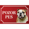 Anglický buldog - Kovová tabuľka POZOR PES