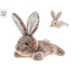 Van Manen Veenendaal Králik plyšový 22 cm ležiaci 2 farby 0 m+Take Me Home