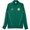 Puma Mens Senegal Tracksuit Top World Cup 2026 Green/Yellow S