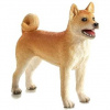 Animal Planet Pes Shiba Inu