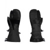 Membránové rukavice Direct Alpine Alpen Mitt 1.0 black M