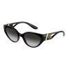 Dolce&Gabbana DG6146 501/8G