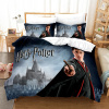Posteľné obliečky - Plachý 220 cm x 200 posteľná súprava (Sada podstielky + vankúš 200x220 Harry Potter)