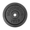 Insportline Liatinový kotúč CastCzech 10 kg 30 mm