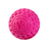 Hračka pes BALL MAXI plávajúca. z TPR ružová Kiwi