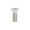 TRW Banjo Bolt strieborný eloxovaný M10x1,25