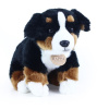Rappa bernský salašnický pes sedící 200845 25 cm