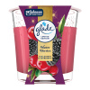 Glade Winter Berries 112 g