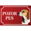 Anglický foxhound - Kovová tabuľka POZOR PES