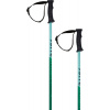 Völkl Phantastick Kids + Green 70