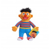 Sesame Street Friends Ernie