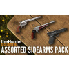 theHunter: Call of the Wild - Assorted Sidearms Pack - Steam PC