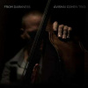 LP Avishai Cohen Trio: From Darkness