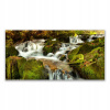 Foto -on Wall 140x70 Waterfall Skały Nature (Foto -on Wall 140x70 Waterfall Skały Nature)