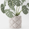 Monstera Magnetica – 3D Tlačená Dekorácia & Podložky pod Poháre Farba listov: zelená, Vyber typ kvetináča: Veluto, Vyber farbu kvetináča: biela muted