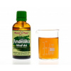 Andělika lékařská - bylinné kapky (tinktura) 50 ml - doplněk stravy