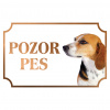 Anglický foxhound - Kovová tabuľka POZOR PES