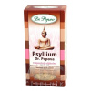 Dr. Popov s.r.o. DR. POPOV PSYLLIUM rozpustná vláknina 1x100 g