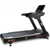 BH FITNESS RS2000