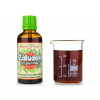 Žaludek - bylinné kapky (tinktura) 50 ml - doplněk stravy