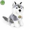 Plyšový pes Husky sediaci 30 cm