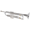 SOUNDSATION STPSL-10
