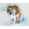 Maľovanie podľa čísel Maľovaný tiger, 40x50 cm, vypnuté plátno na rám (5013261)