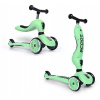 Diaľnica 2in1 skútr a jazdecký skúter a skúter (Diaľnica 2in1 skútr a jazdecký skúter a skúter)