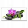 Obrázok akryl s grafikou 140x70 kvetinové orchideové umenie (Obrázok akryl s grafikou 140x70 kvetinové orchideové umenie)