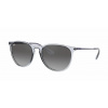 Ray-Ban RB4171 ERIKA 651611